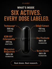 CLADE Men's Vitality: six actives, Testosurge 500 mg, Shilajit extract 150 mg, KSM-66 Ashwagandha 200 mg, zinc, magnesium and boron at 100% DV