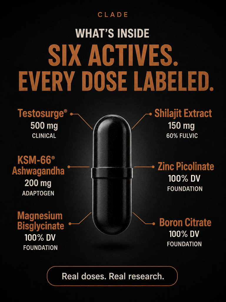 CLADE Men's Vitality: six actives, Testosurge 500 mg, Shilajit extract 150 mg, KSM-66 Ashwagandha 200 mg, zinc, magnesium and boron at 100% DV