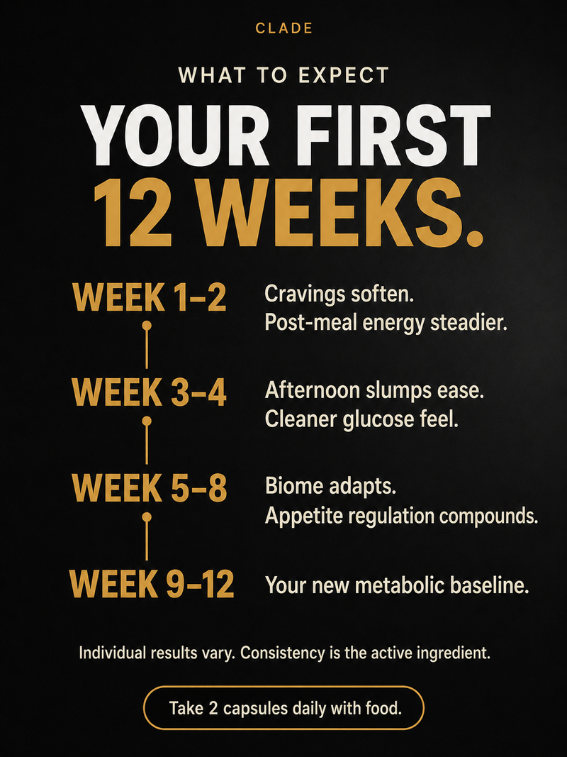 CLADE glp1 metabolic support: expected timeline of use