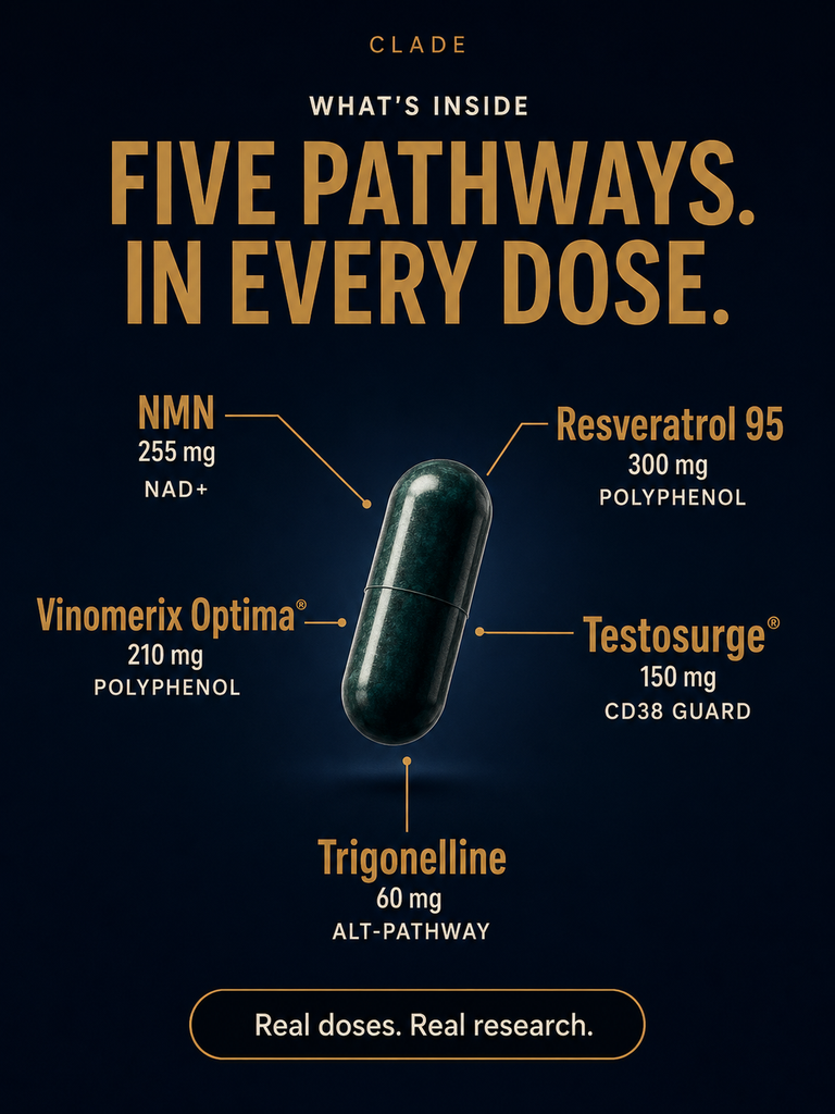 CLADE longevity complex: every active and its labeled dose